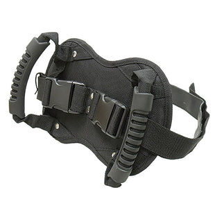 SPX Motorcycle Rear Passenger Handle